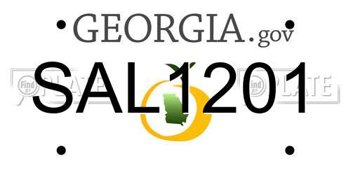 SAL1201 Georgia License Plate