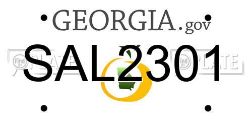 SAL2301 Georgia License Plate