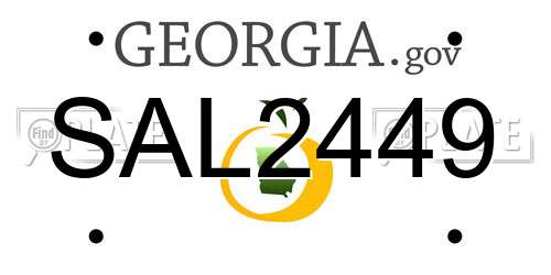 SAL2449 Georgia License Plate