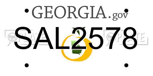 SAL2578 Georgia License Plate