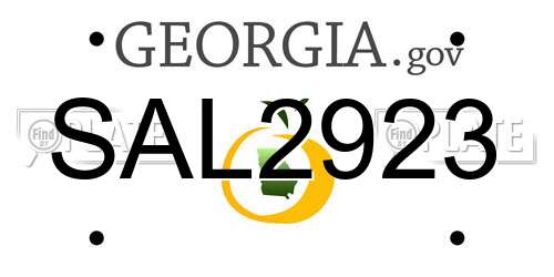 SAL2923 Georgia License Plate