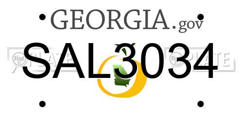 SAL3034 Georgia License Plate
