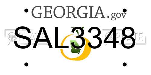 SAL3348 Georgia License Plate