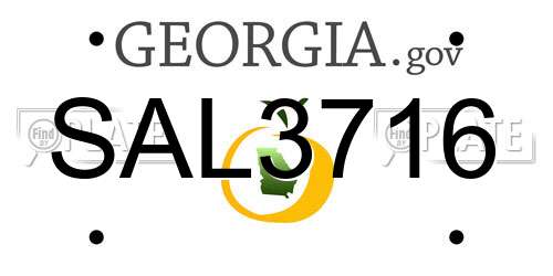 SAL3716 Georgia License Plate