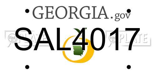 SAL4017 Georgia License Plate