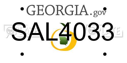 SAL4033 Georgia License Plate