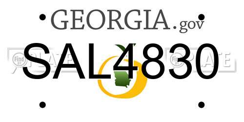 SAL4830 Georgia License Plate