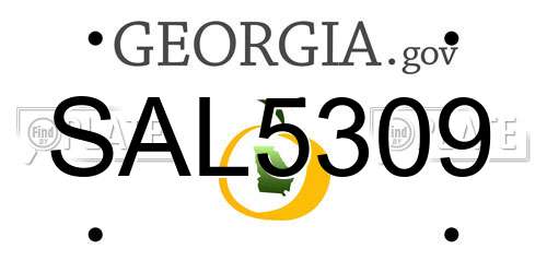 SAL5309 Georgia License Plate