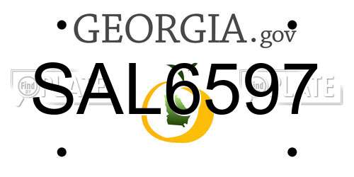 SAL6597 Georgia License Plate