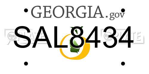 SAL8434 Georgia License Plate