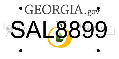 SAL8899 Georgia License Plate