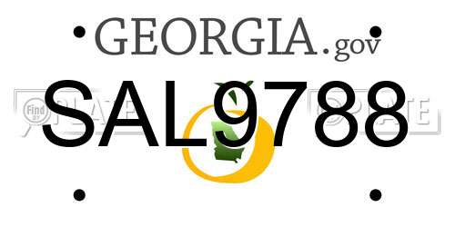 SAL9788 Georgia License Plate