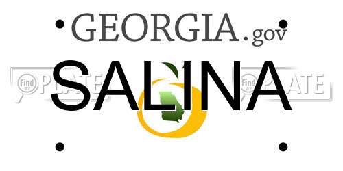 SALINA Georgia License Plate