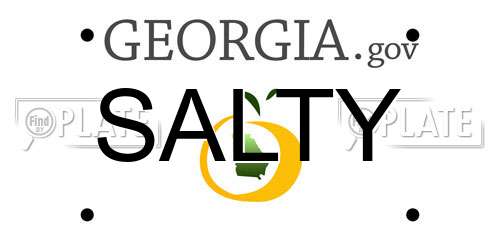 SALTY Georgia License Plate