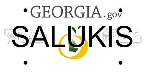 SALUKIS Georgia License Plate
