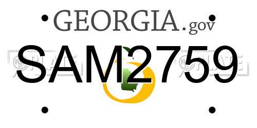 SAM2759 Georgia License Plate