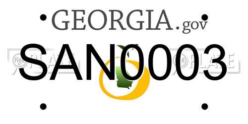SAN0003 Georgia License Plate