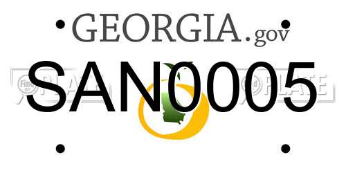 SAN0005 Georgia License Plate