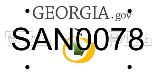 SAN0078 Georgia License Plate
