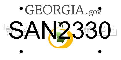 SAN2330 Georgia License Plate