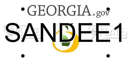 SANDEE1 Georgia License Plate