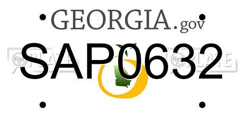 SAP0632 Georgia License Plate