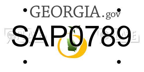 SAP0789 Georgia License Plate