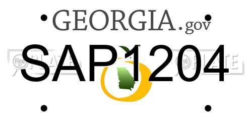 SAP1204 Georgia License Plate