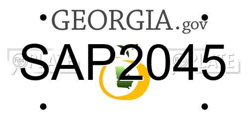 SAP2045 Georgia License Plate