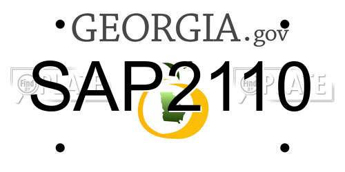SAP2110 Georgia License Plate