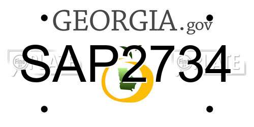SAP2734 Georgia License Plate