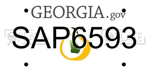 SAP6593 Georgia License Plate