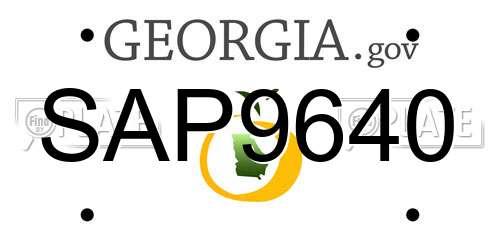 SAP9640 Georgia License Plate