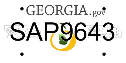 SAP9643 Georgia License Plate
