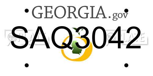 SAQ3042 Georgia License Plate