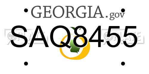 SAQ8455 Georgia License Plate