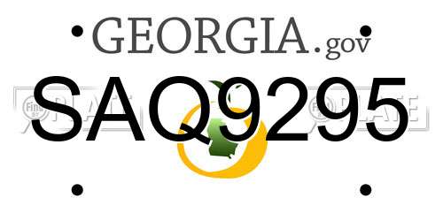 SAQ9295 Georgia License Plate