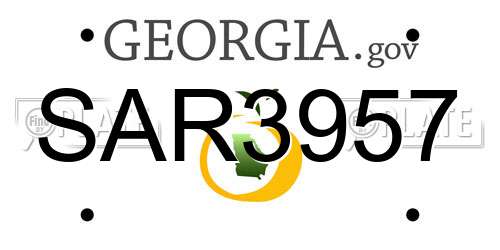 SAR3957 Georgia License Plate