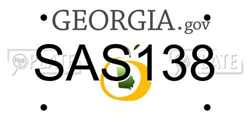 SAS138 Georgia License Plate