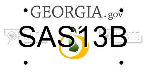 SAS13B Georgia License Plate