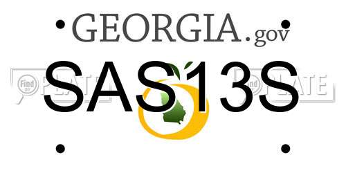 SAS13S Georgia License Plate