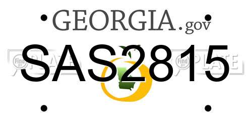SAS2815 Georgia License Plate