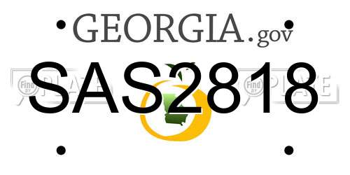 SAS2818 Georgia License Plate