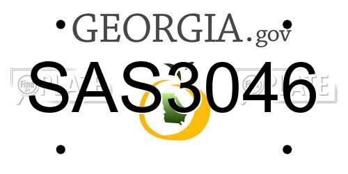 SAS3046 Georgia License Plate