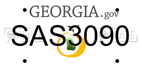 SAS3090 Georgia License Plate