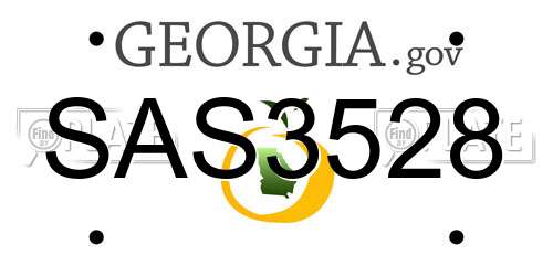 SAS3528 Georgia License Plate