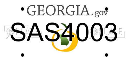 SAS4003 Georgia License Plate