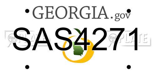 SAS4271 Georgia License Plate