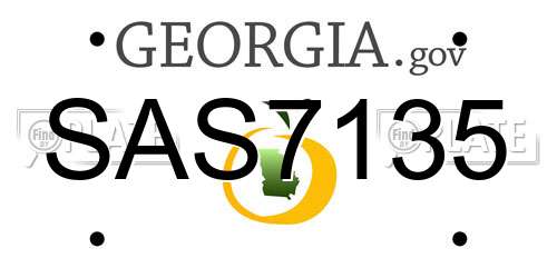 SAS7135 Georgia License Plate