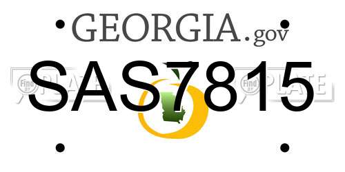 SAS7815 Georgia License Plate